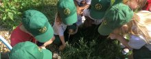 Newsletter 20th June 2025