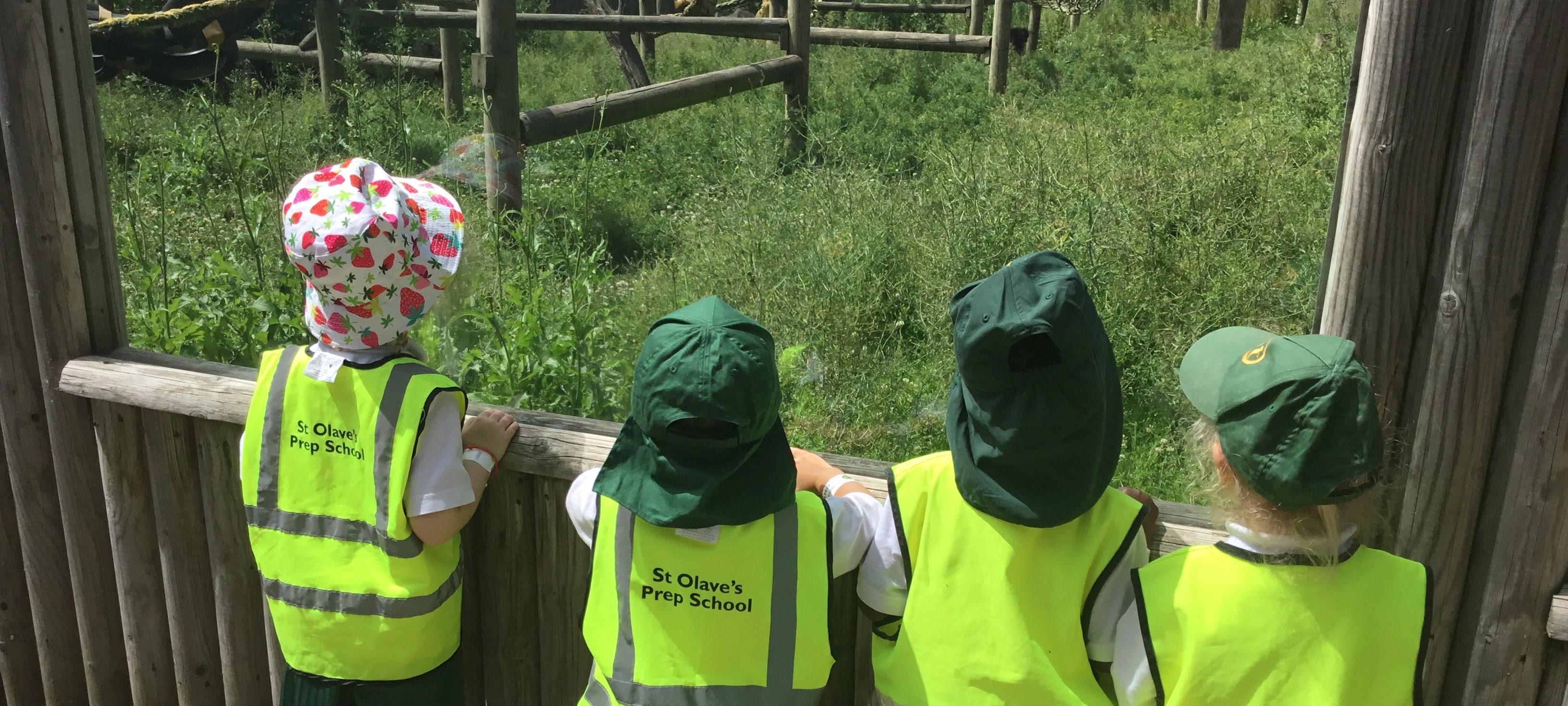 Newsletter 27th June 2025
