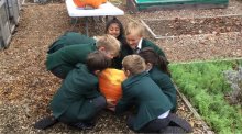 Newsletter 17th October 2025