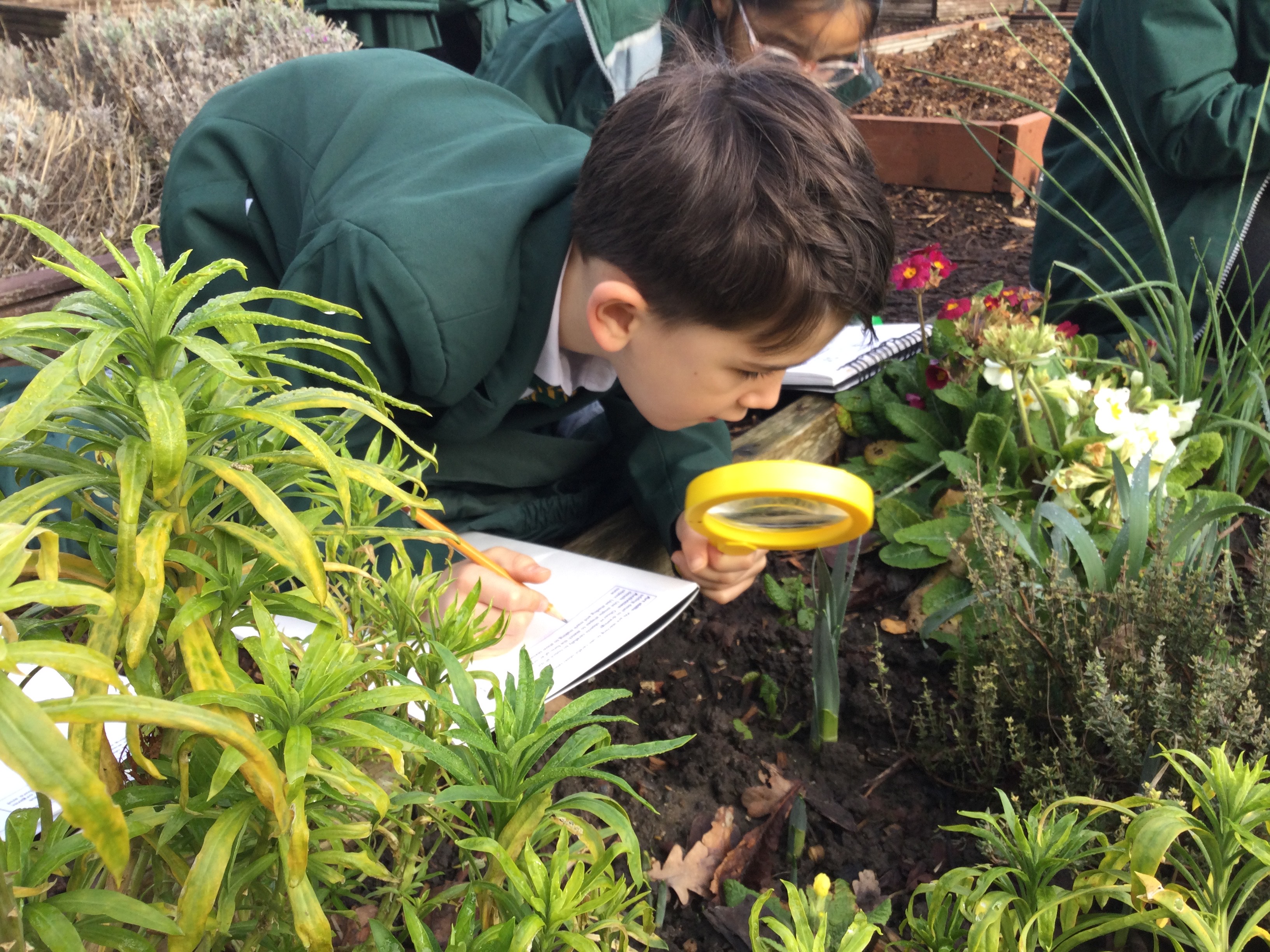 Newsletter 30th January 2026