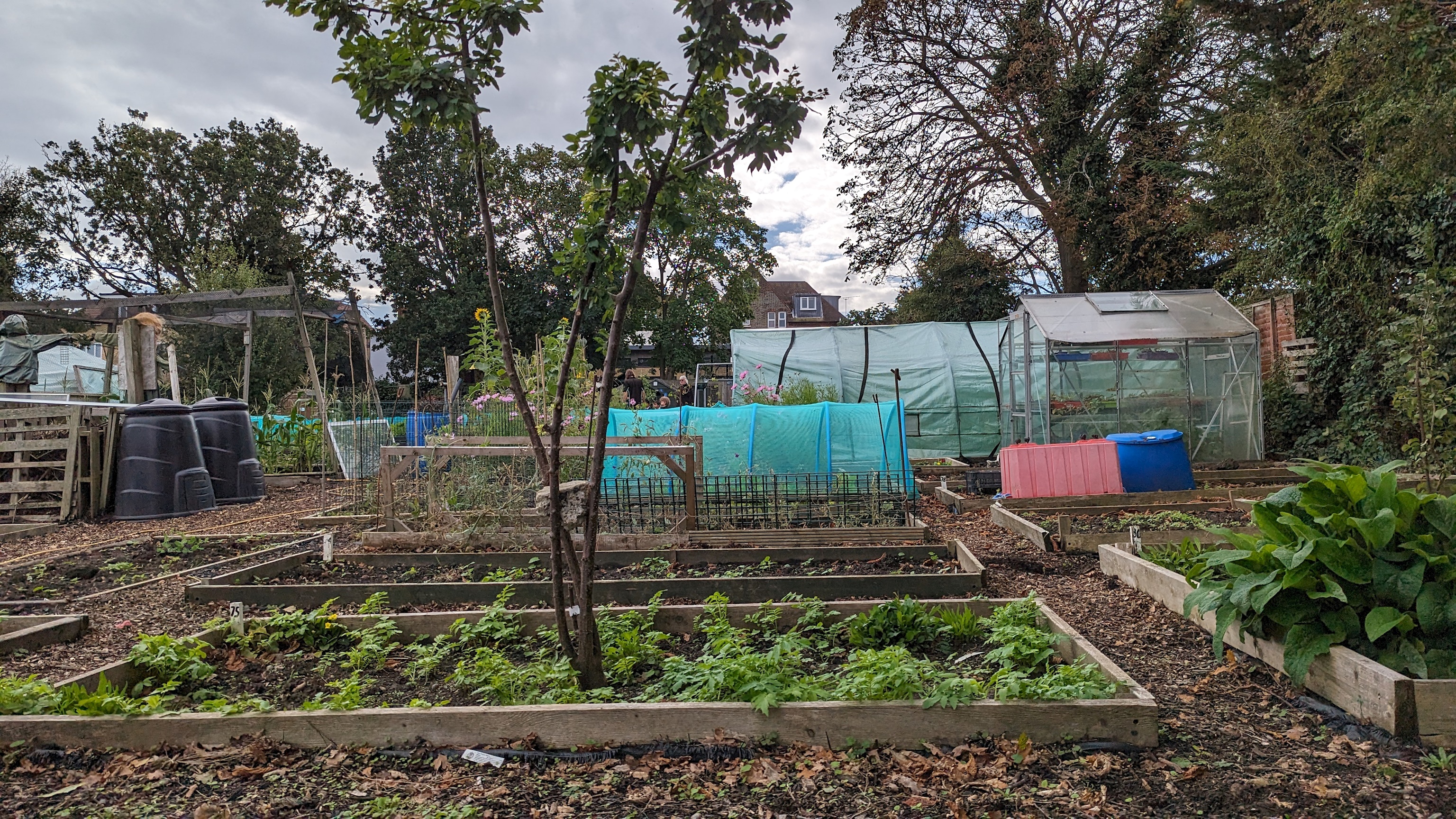 Newsletter 4th October 2024