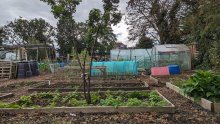 Newsletter 4th October 2024