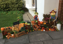 Newsletter 11th October 2024