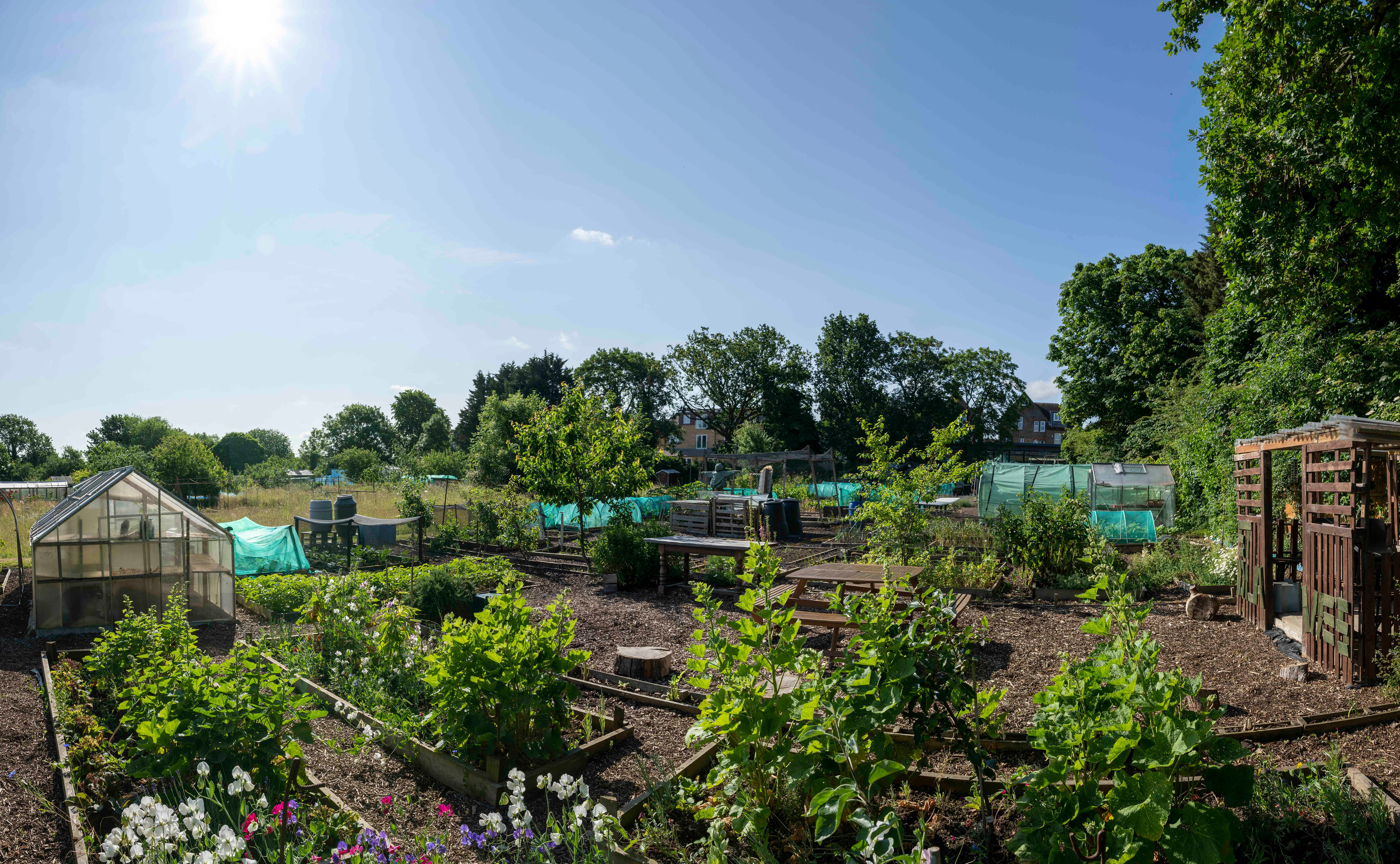 Newsletter 5th September 2025