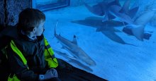 Newsletter 22nd November 2024
